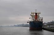 de schelde